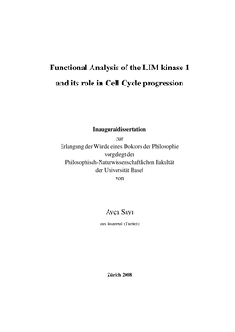 Functional Analysis of the LIM Kinase 1 and Its Role in Cell Cycle Progression