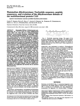 Mammalian Dihydroorotase: Nucleotide Sequence, Peptide