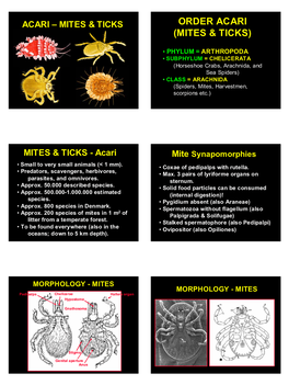 Order Acari (Mites & Ticks)