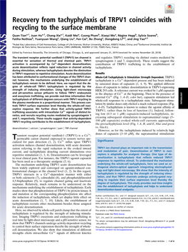 Recovery from Tachyphylaxis of TRPV1 Coincides with Recycling to the Surface Membrane