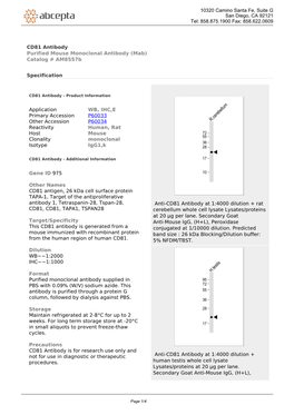 CD81 Antibody Purified Mouse Monoclonal Antibody (Mab) Catalog # Am8557b