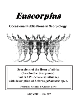 Part XXIV. Leiurus (Buthidae), with Description of Leiurus Gubanensis Sp
