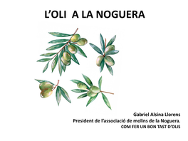 L'oli a La Noguera