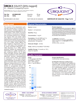 UBE2L3 (Ubch7) [6His-Tagged] E2 – Ubiquitin Conjugating Enzyme