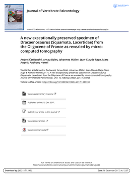 (Squamata, Lacertidae) from the Oligocene of France As Revealed by Micro- Computed Tomography