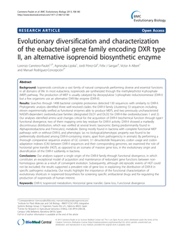 Evolutionary Diversification and Characterization of the Eubacterial