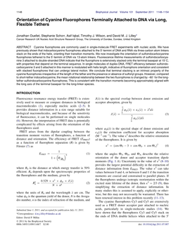 Orientation of Cyanine Fluorophores Terminally Attached to DNA Via Long, Flexible Tethers