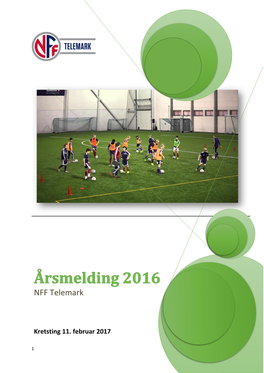 Årsmelding 2016