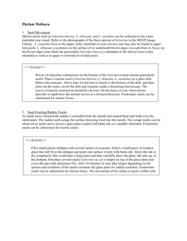 Phylum Mollusca <<Activity>> <<Activity>>