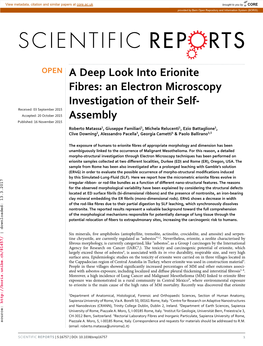 A Deep Look Into Erionite Fibres