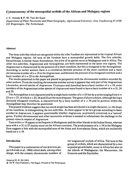 Cytotaxonomy of the Monopodial Orchids of the African and Malagasy Regions