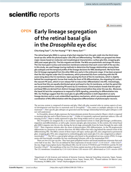 Early Lineage Segregation of the Retinal Basal Glia in the Drosophila Eye Disc Chia‑Kang Tsao1,2, Yu Fen Huang1,2,3 & Y