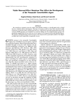 Viable Maternal-Effect Mutations That Affect the Development