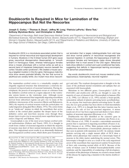 Doublecortin Is Required in Mice for Lamination of the Hippocampus but Not the Neocortex