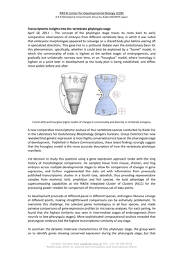 Transcriptomic Insights Into the Vertebrate Phylotypic Stage