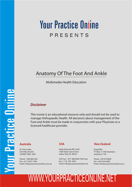 Anatomy of the Foot and Ankle