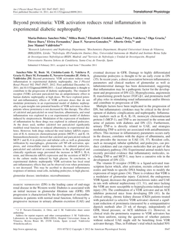 Beyond Proteinuria: VDR Activation Reduces Renal Inflammation in Experimental Diabetic Nephropathy