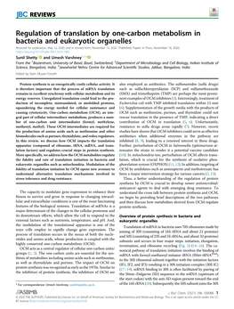 Regulation of Translation by One-Carbon Metabolism in Bacteria