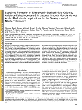 Sustained Formation of Nitroglycerin-Derived Nitric Oxide