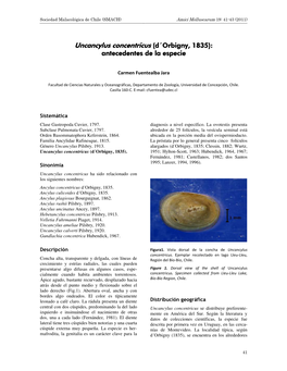 Uncancylus Concentricus (D´Orbigny, 1835): Antecedentes De La Especie