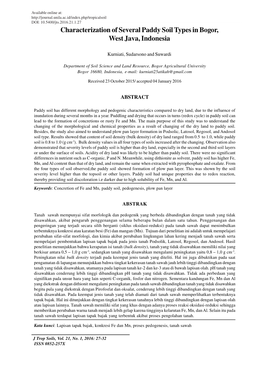 Characterization of Several Paddy Soil Types in Bogor, West Java, Indonesia