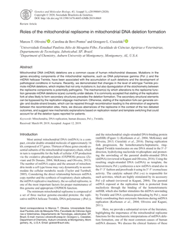 Roles of the Mitochondrial Replisome in Mitochondrial DNA Deletion Formation