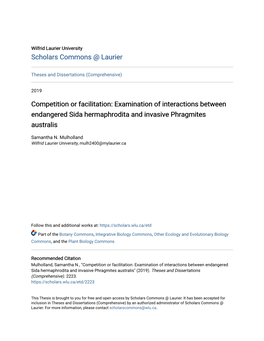 Examination of Interactions Between Endangered Sida Hermaphrodita and Invasive Phragmites Australis