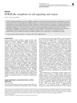 STRIPAK Complexes in Cell Signaling and Cancer