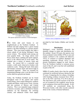 Northern Cardinal (Cardinalis Cardinalis) Gail Mcpeek