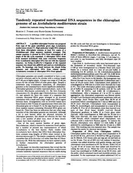 Genome of an Acetabularia Mediterranea Strain (Southern Blot/Molecular Cloning/Dasycladaceae/Evolution) MARTIN J