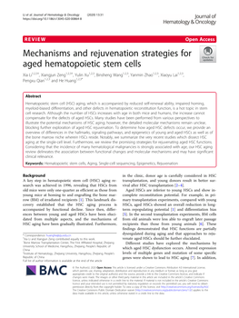 Mechanisms and Rejuvenation Strategies for Aged Hematopoietic