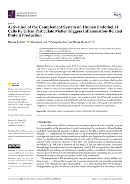 Activation of the Complement System on Human Endothelial Cells by Urban Particulate Matter Triggers Inflammation-Related Protein Production