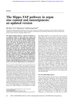 The Hippo–YAP Pathway in Organ Size Control and Tumorigenesis: an Updated Version