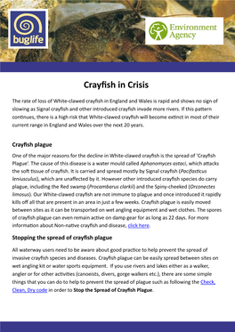 Crayfish in Crisis