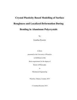 Crystal Plasticity Based Modelling of Surface Roughness and Localized