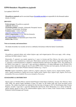 EPPO Datasheet: Pityophthorus Juglandis