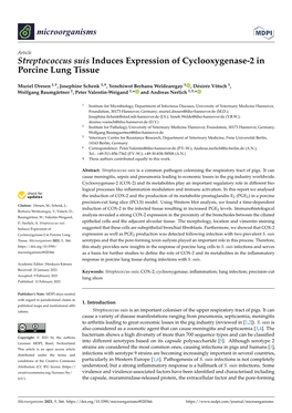 Streptococcus Suis Induces Expression of Cyclooxygenase-2 in Porcine Lung Tissue