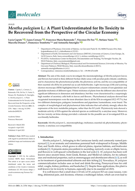 Mentha Pulegium L.: a Plant Underestimated for Its Toxicity to Be Recovered from the Perspective of the Circular Economy