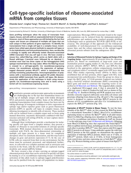 Cell-Type-Specific Isolation of Ribosome-Associated Mrna from Complex Tissues