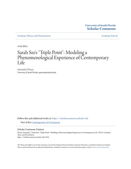 Sarah Sze's "Triple Point": Modeling a Phenomenological Experience of Contemporary Life Amanda J