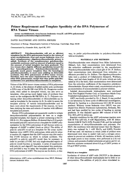 Primer Requirement and Template Specificity of the DNA Polymerase of RNA Tumor Viruses (Avian Myeloblastosis Virus/Mouse Leukemia Virus/E