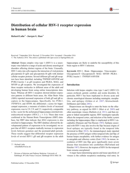 Distribution of Cellular HSV-1 Receptor Expression in Human Brain