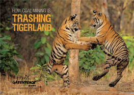How Coal Mining Is Trashing Tigerland