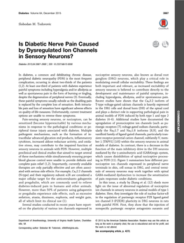 Is Diabetic Nerve Pain Caused by Dysregulated Ion Channels in Sensory Neurons?