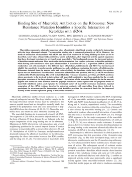 Binding Site of Macrolide Antibiotics on the Ribosome: New Resistance Mutation Identiﬁes a Speciﬁc Interaction of Ketolides with Rrna