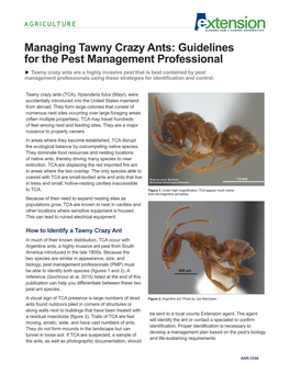 Download a PDF of Managing Tawny Crazy Ants: Guidelines for the Pest Management Professional, ANR-2546