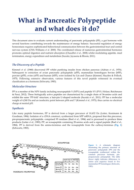 What Is Pancreatic Polypeptide and What Does It Do?