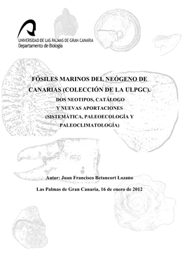 Fósiles Marinos Del Neógeno De Canarias (Colección De La ULPGC)