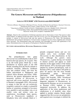 The Genera Microsorum and Phymatosorus (Polypodiaceae) in Thailand