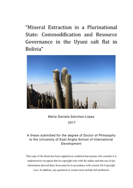 “Mineral Extraction in a Plurinational State: Commodification and Resource Governance in the Uyuni Salt Flat in Bolivia”